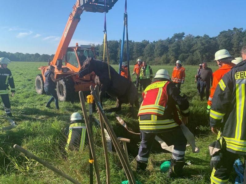 Technische Hilfeleistung klein (TH1)