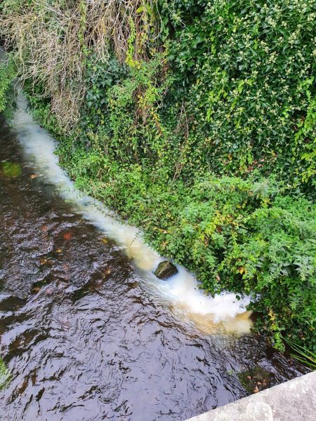 Technische Hilfeleistung Wasser - Verunreinigung (THWV)