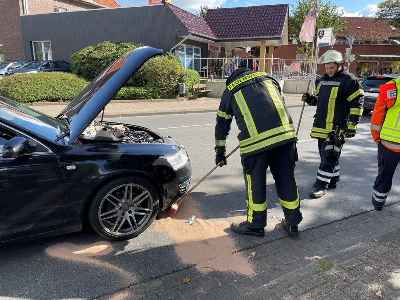 Technische Hilfeleistung - Straßenverunreinigung (THS)