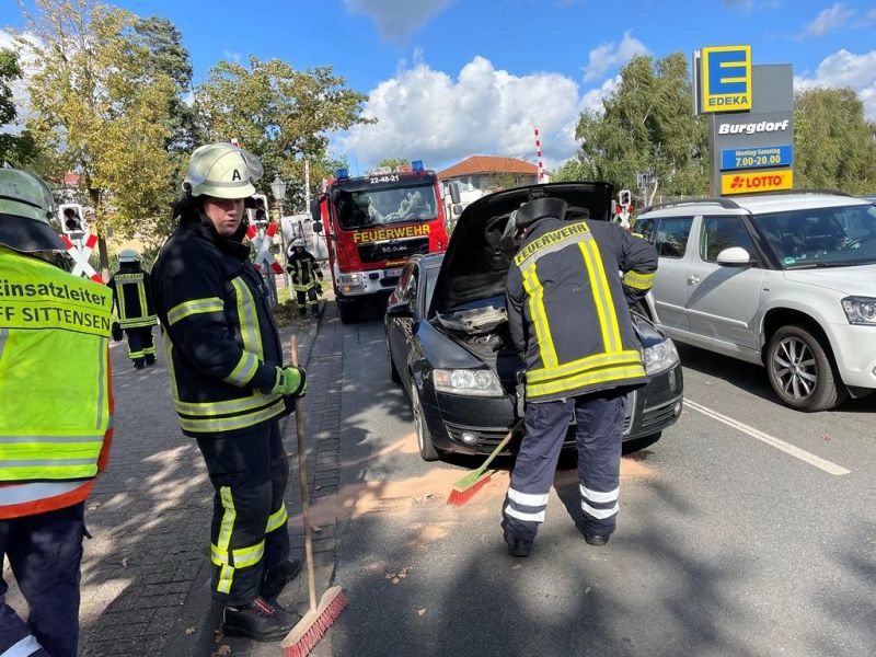 Technische Hilfeleistung - Straßenverunreinigung (THS)