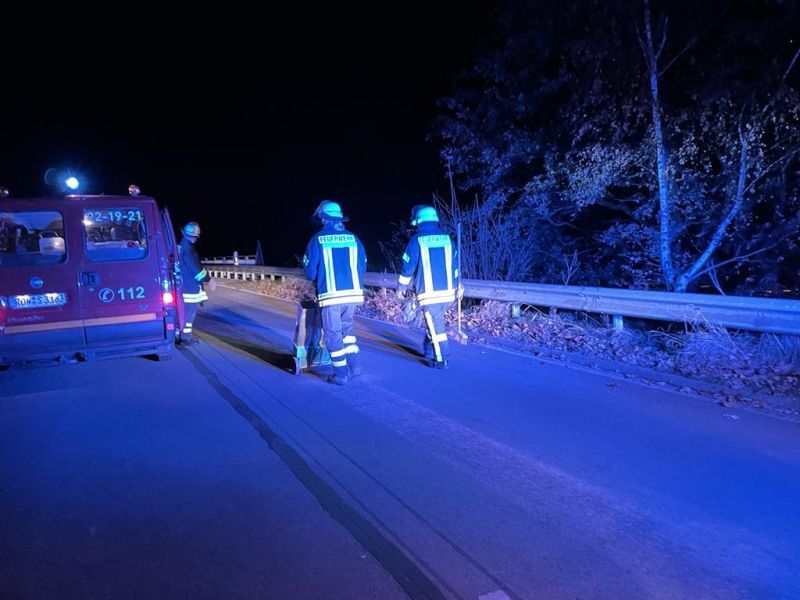 Technische Hilfeleistung - Straßenverunreinigung (THS)