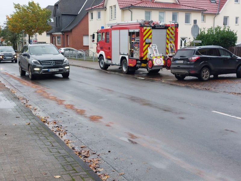 Technische Hilfeleistung - Straßenverunreinigung (THS)